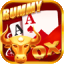 new rummy all